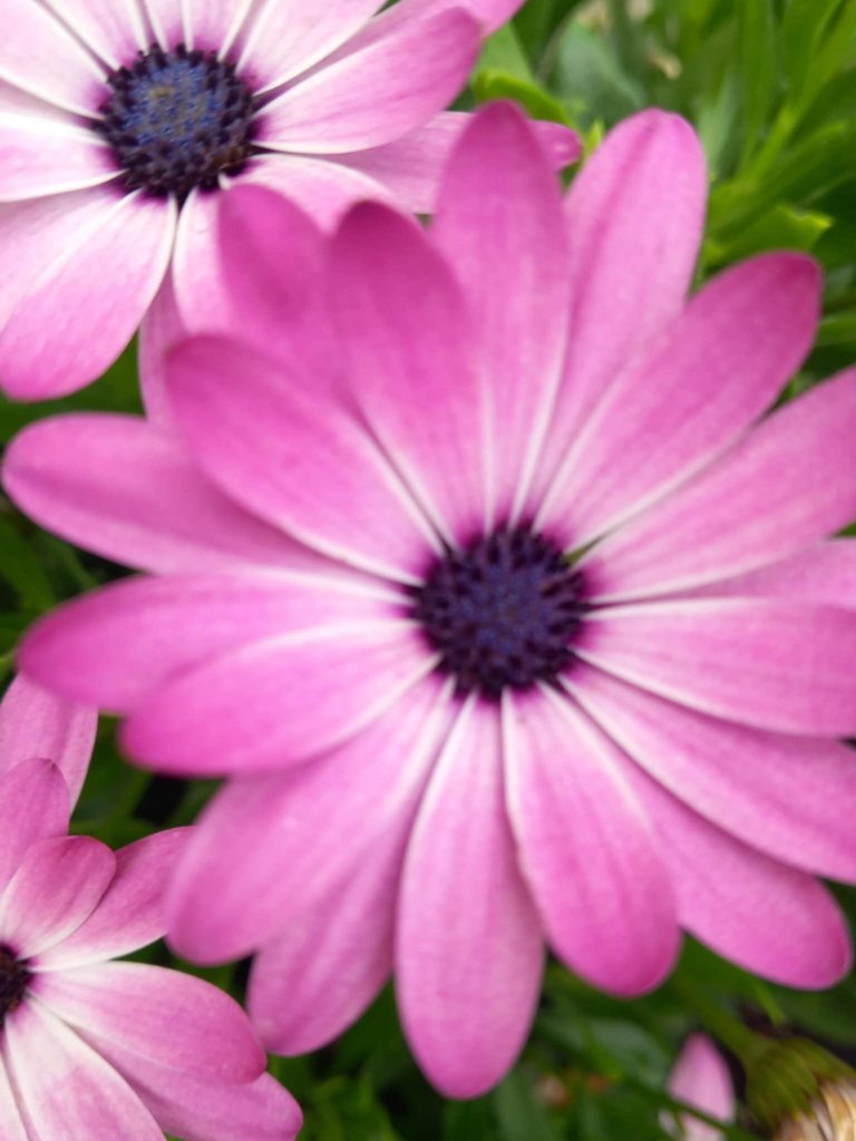 21549c15-32ad-4be0-93f2-e347ac815849.jpg