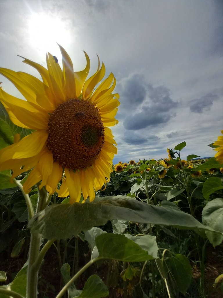 1000022298.jpg
