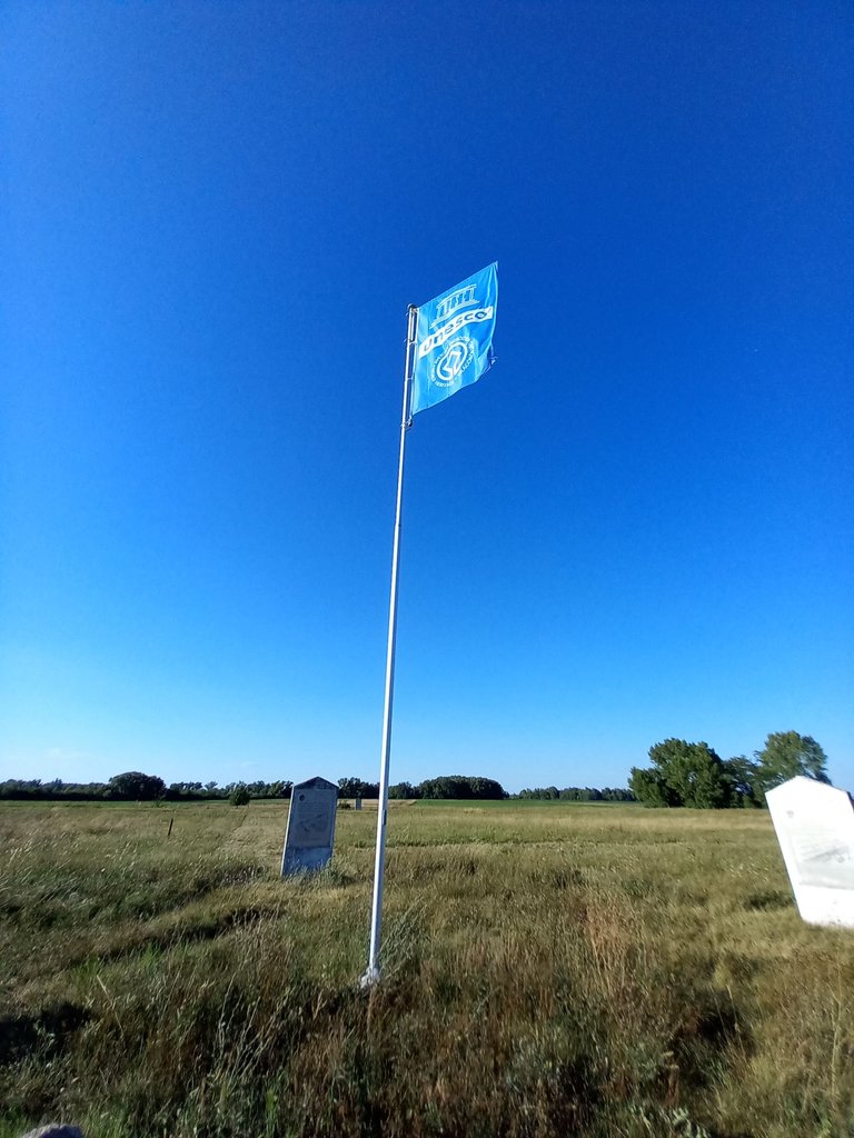 20240811_174621.jpg