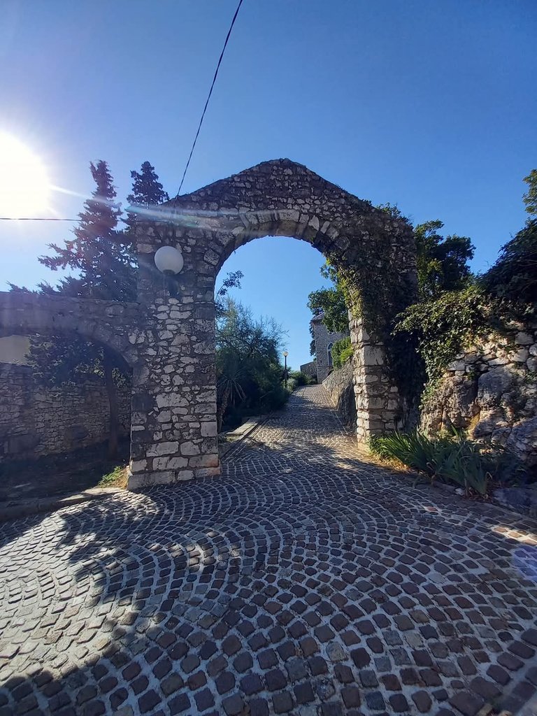 1748529_475076.jpg
