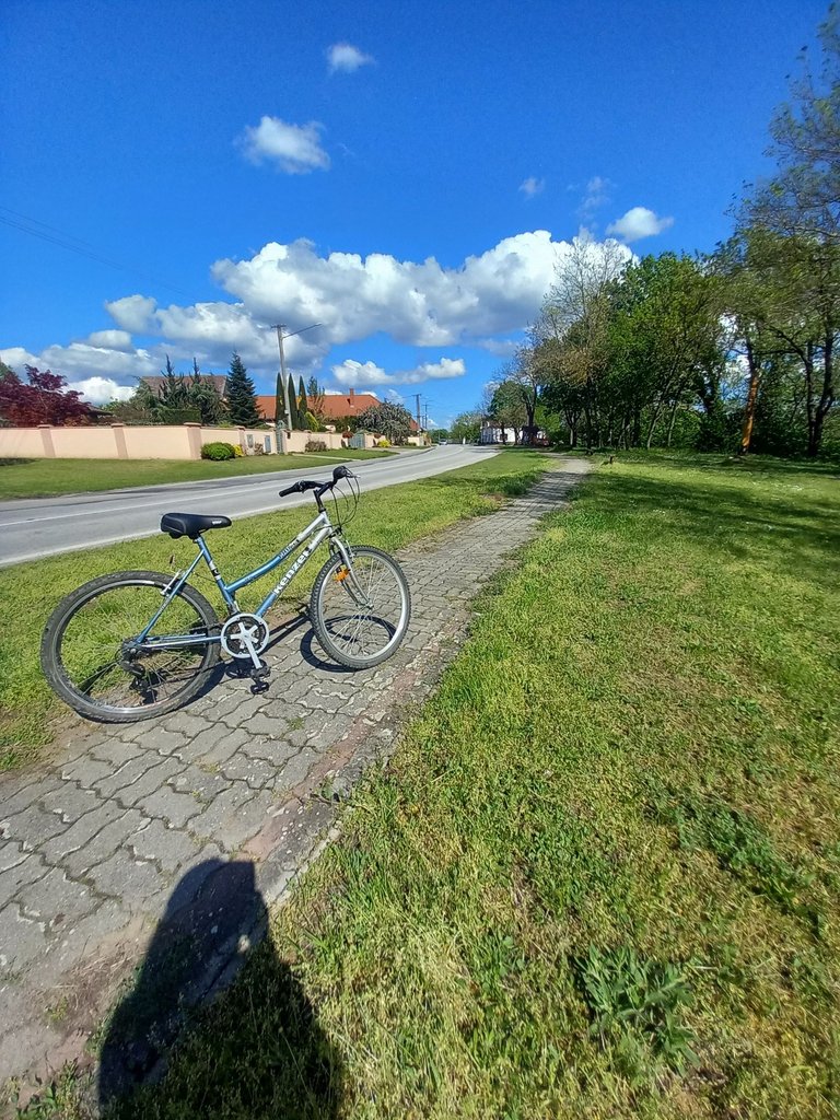 20250419_144838.jpg