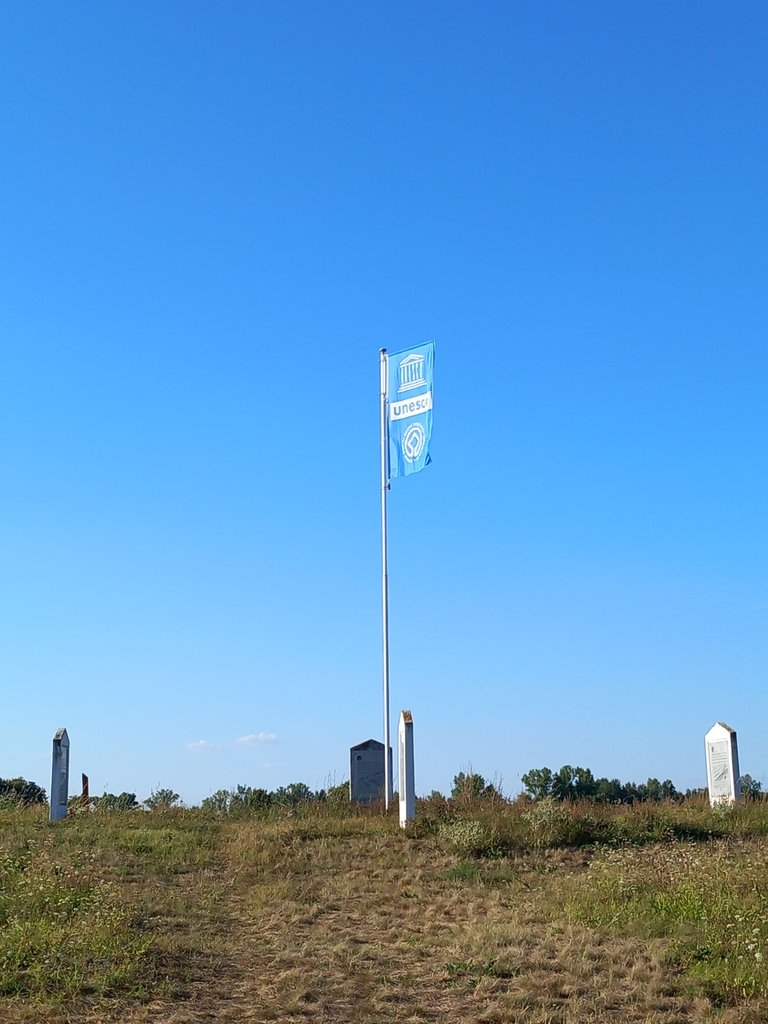 20240811_174657.jpg