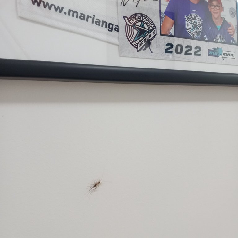 20250524_080544.jpg