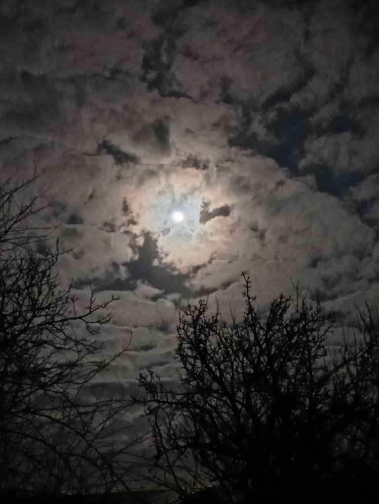 Lifescape Tribe Night Photography Round 8: Our Night Drive Under The Magical Sky.