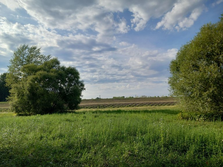 20250902_164601[1].jpg