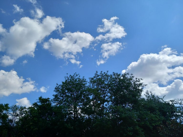 20250731_113959.jpg