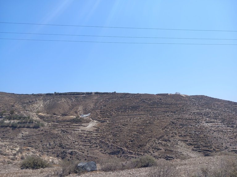 20250618_120117[1].jpg