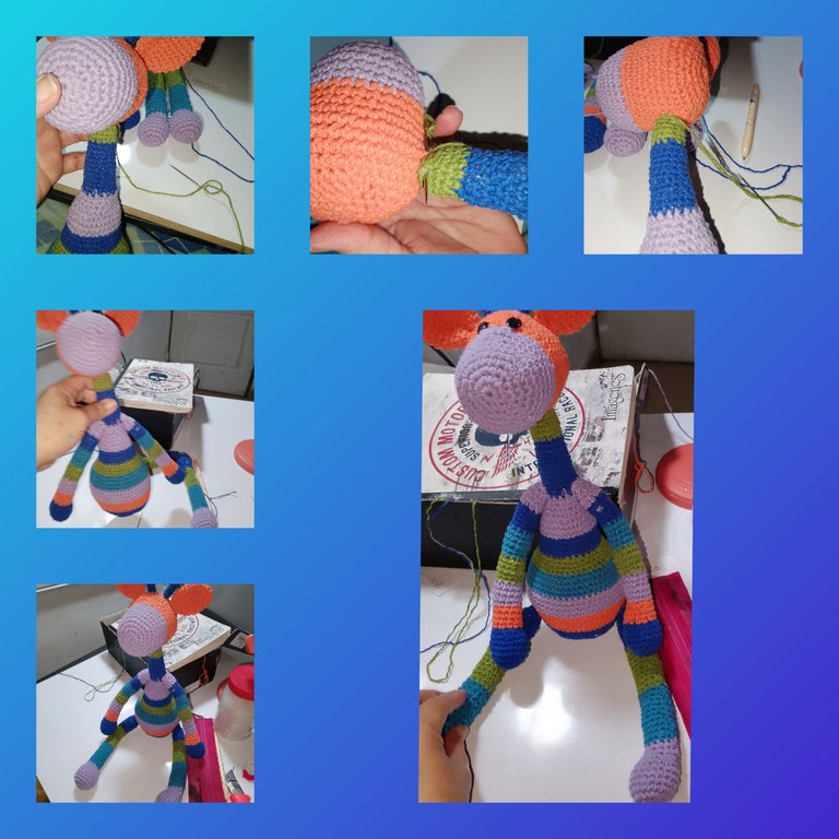 InCollage_20240529_151303043.jpg