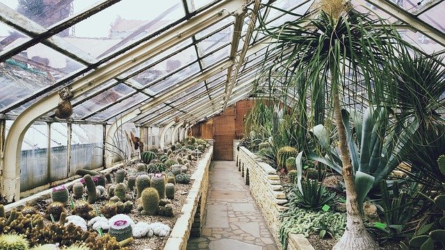 greenhouse-768740_640.jpg