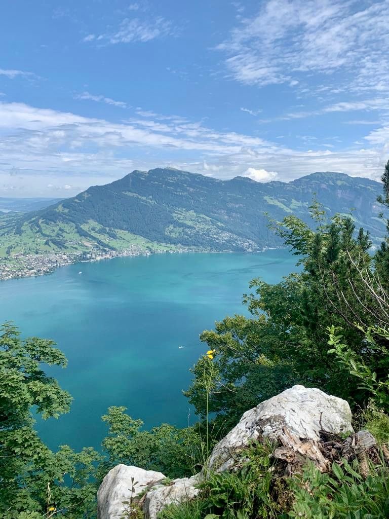 hier nochmal berg rigi.jpg