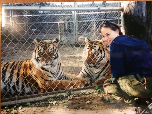 Tiger friends.