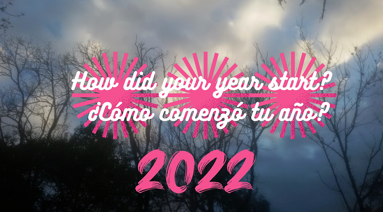 How did your year start ¿Cómo comenzó tu año.png