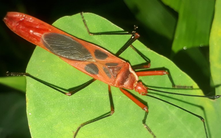 20220822_072552.jpg