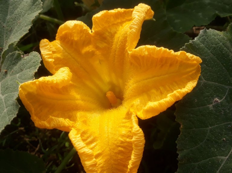 20230923_070821.jpg