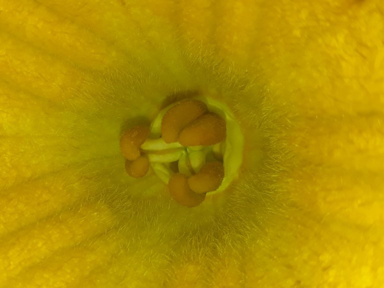 20230923_070932.jpg