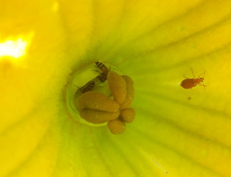 20230228_070839.jpg