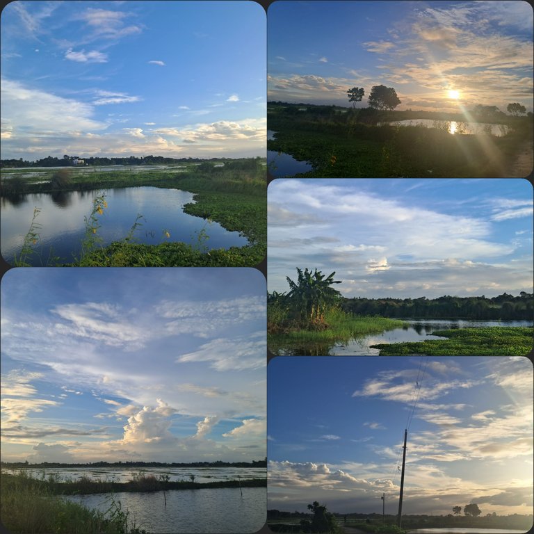 1000028208.jpg