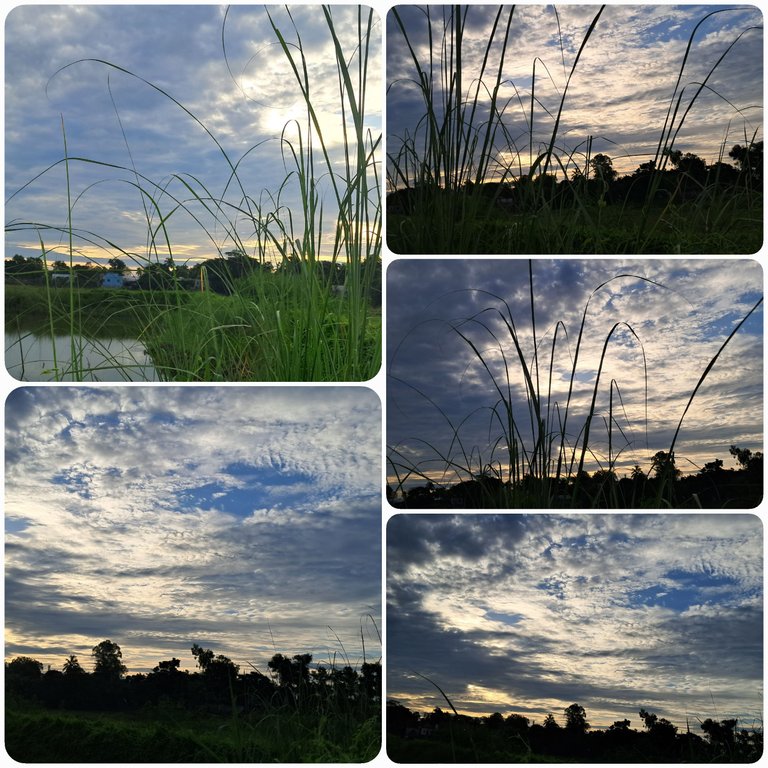 1000024004.jpg