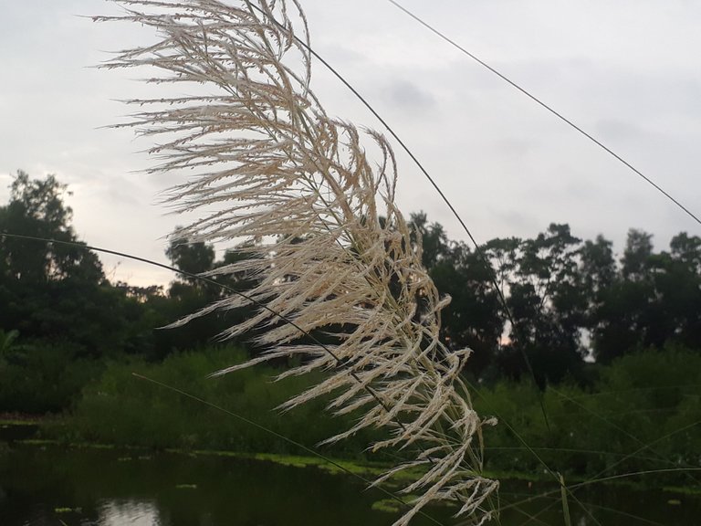 20230918_064517.jpg