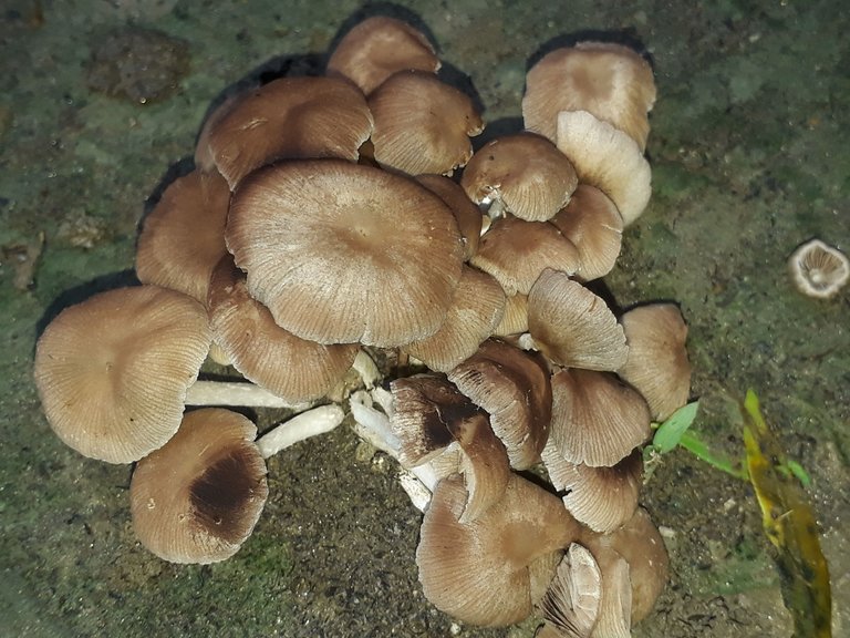 20230620_063151.jpg
