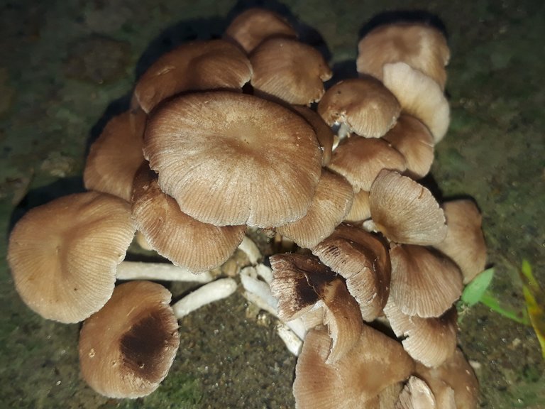 20230620_063205.jpg