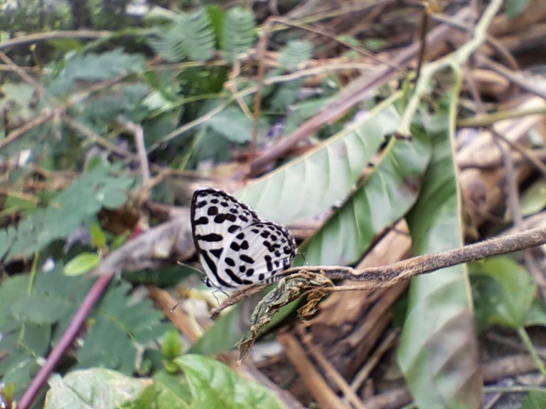 20241017_073353.jpg
