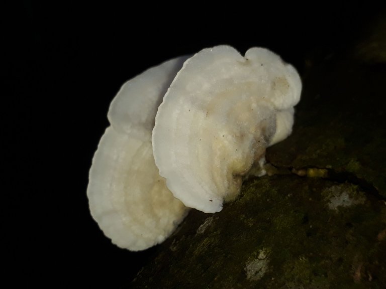 20230619_065147.jpg