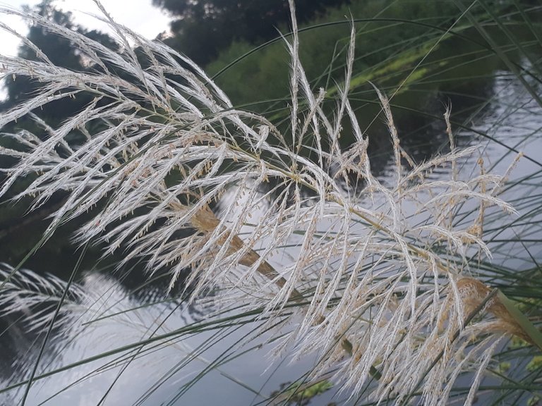 20230918_064509.jpg