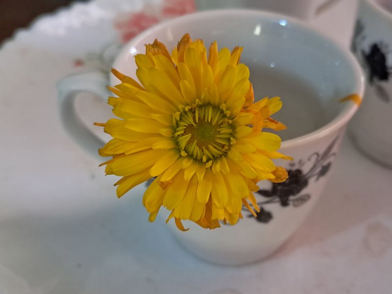 1000015788.jpg
