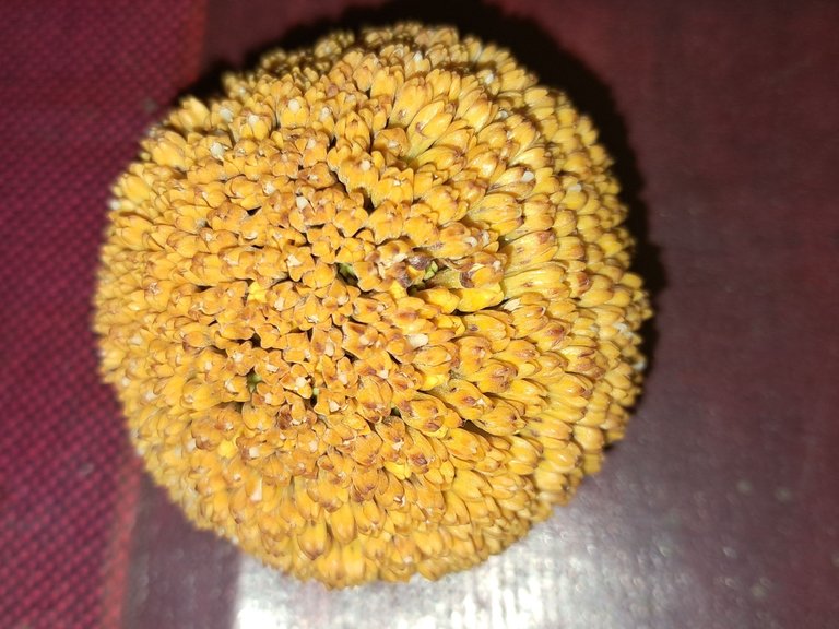 1000026161.jpg