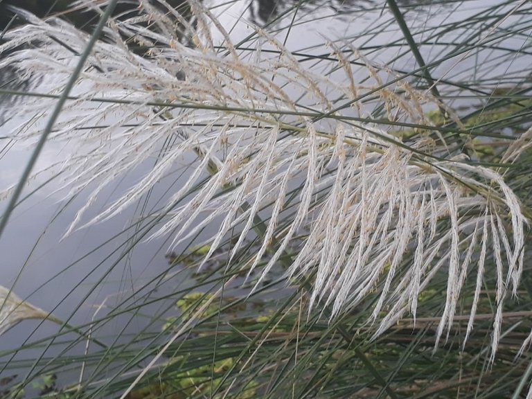20230918_064526.jpg