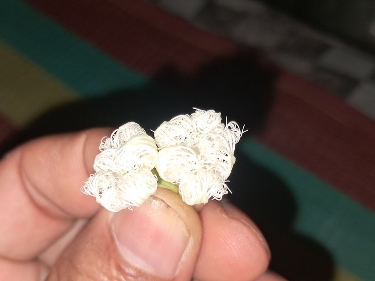 1000028405.jpg