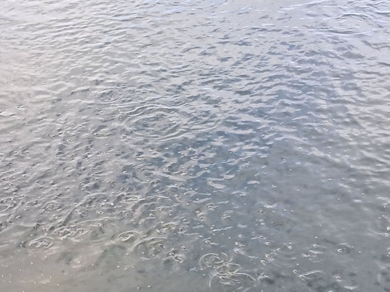 1000026436.jpg