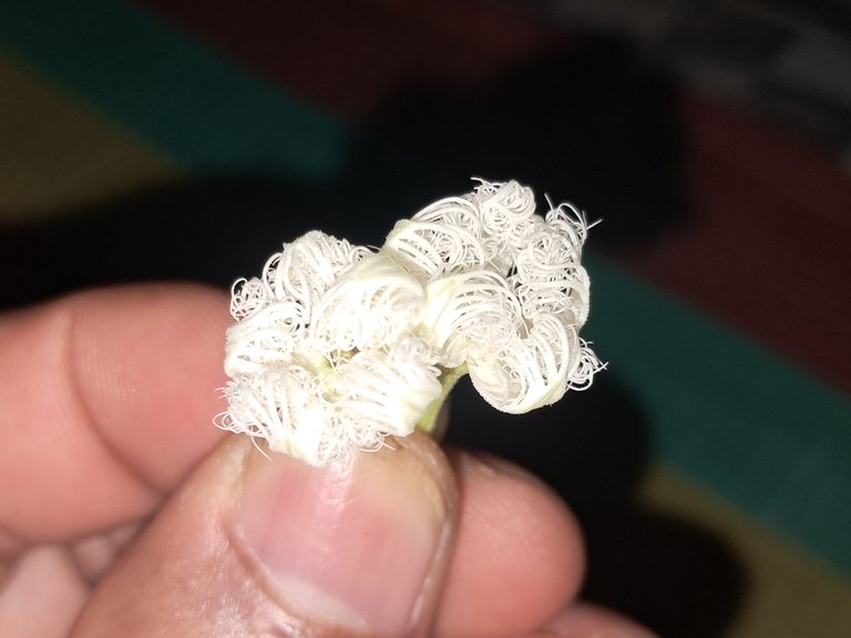 1000028411.jpg