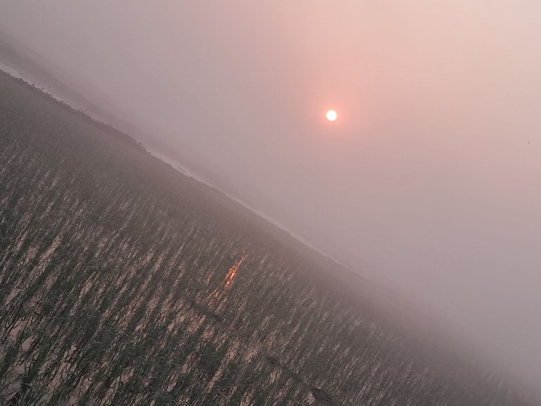 1000013476.jpg