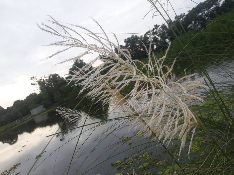 20230918_064437.jpg
