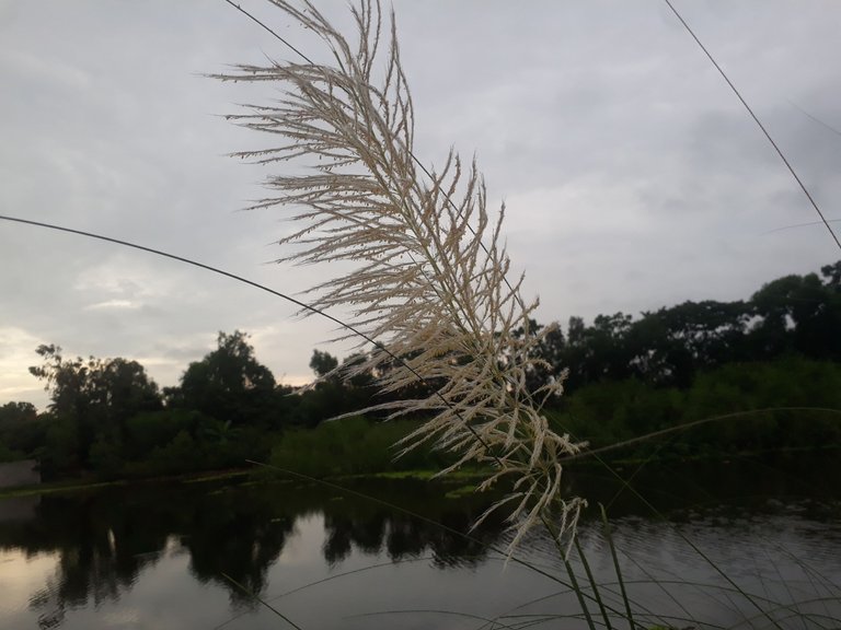 20230918_064443.jpg