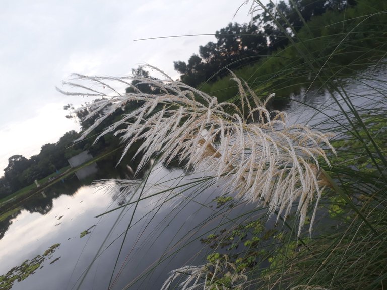 20230918_064458.jpg