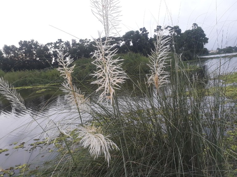 20230918_064536.jpg