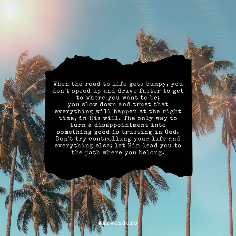 When the road to life gets bumpy, you don't speed up and drive faster to get to where you want to be; you slow down and trust that everything will happen at the right time, in His will. That's all you have to do. Th.png