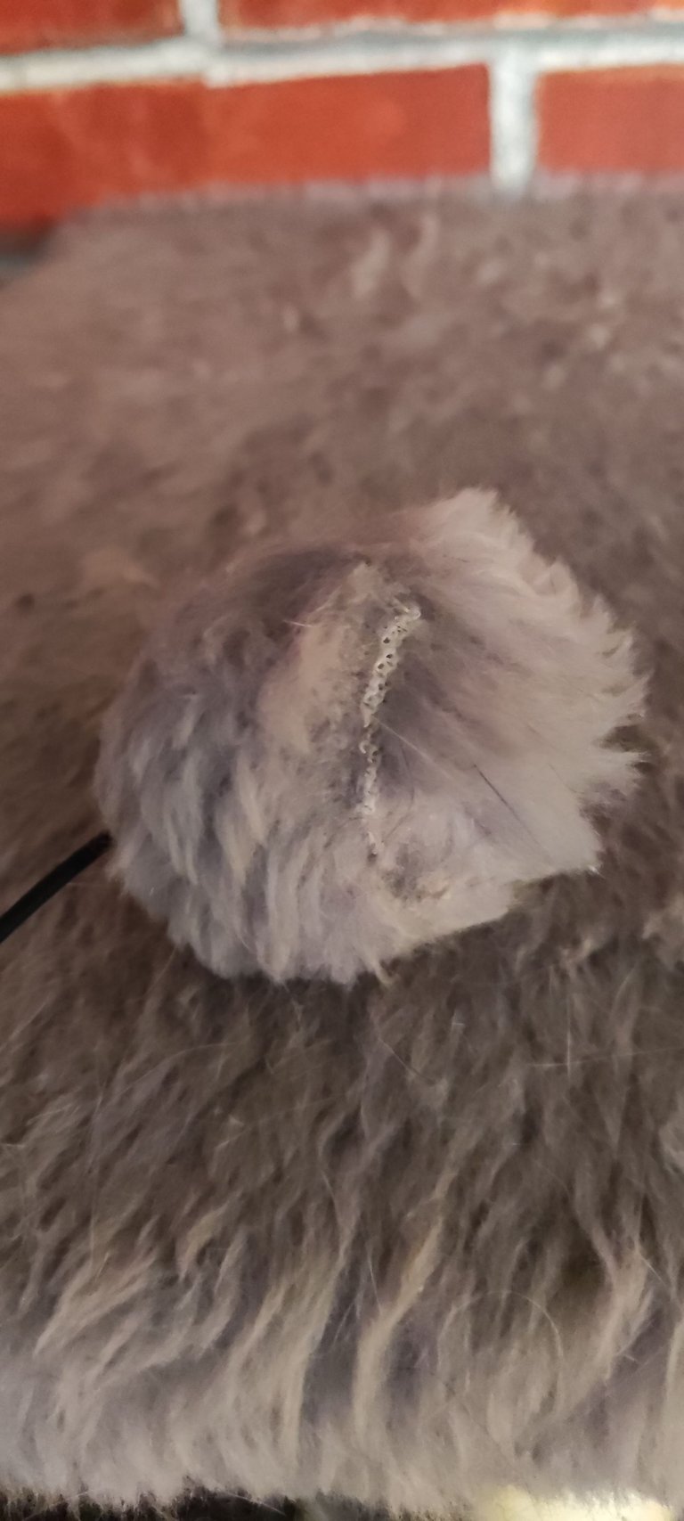 my catnip ball