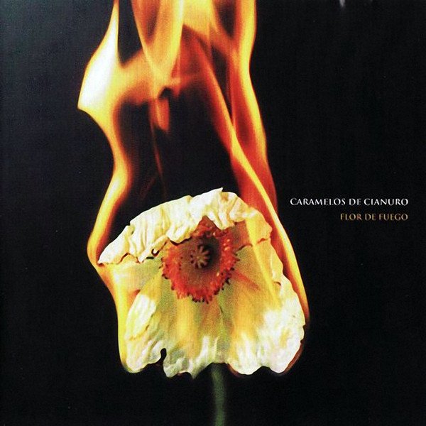 flor de fuego.jpg