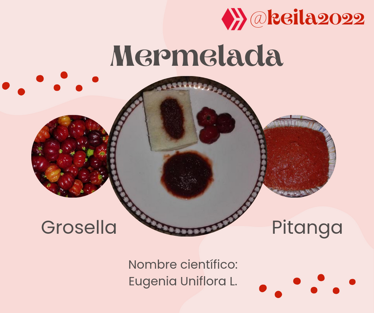 Mermelada de Grosella o Pitanga SPA/ENG