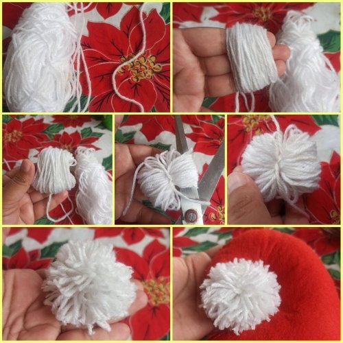 pompon (1).jpg