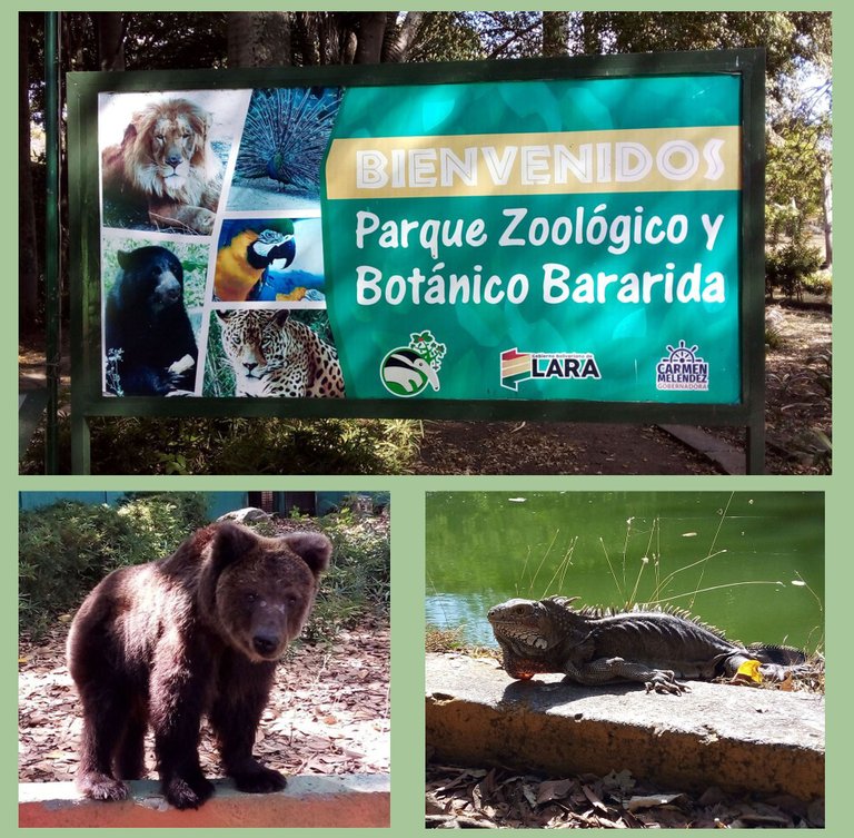 Portada Zoo.jpg