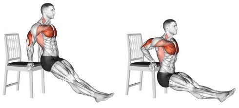tricep-dips-with-chair-490x222.jpg