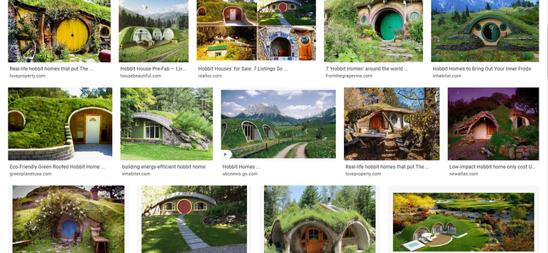 20200606 10_52_44hobbit homes  Google Search.png
