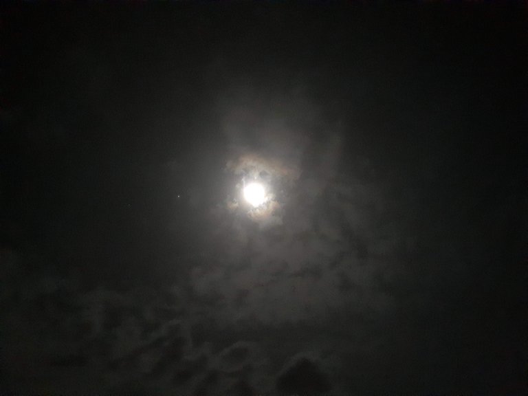 luna2.jpg