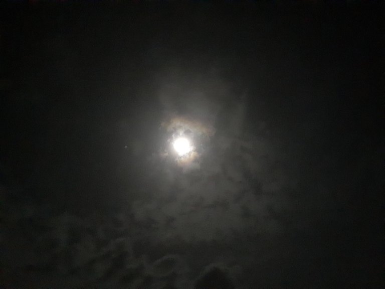 luna3.jpg