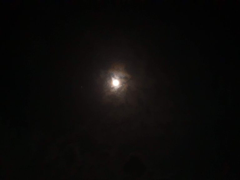 luna4.jpg